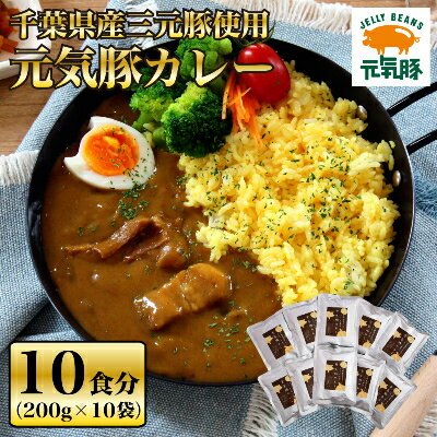 千葉県産三元豚使用 元気豚 レトルトカレーセット 200g×10袋