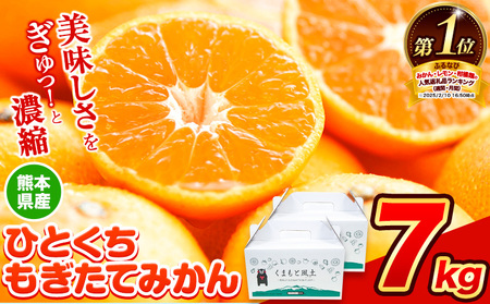 熊本県産 訳あり みかん 約7kg (3.5kg×2箱) S-3Sサイズ 2025年先行予約
