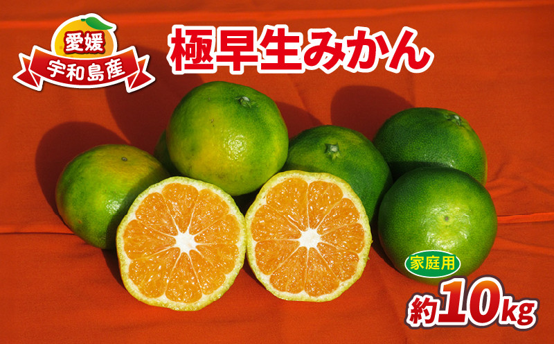 
            みかん 極早生みかん 家庭用 10kg 先行予約 ワールドファーマーズ 温州みかん 温州 極早生 早みかん 緑みかん 吉田みかん 愛媛みかん 愛媛ミカン 愛媛蜜柑 愛媛県産みかん 果物 くだもの フルーツ 柑橘 蜜柑 温州 先行予約 農家直送 数量限定 国産 愛媛 宇和島 B010-024015
          
