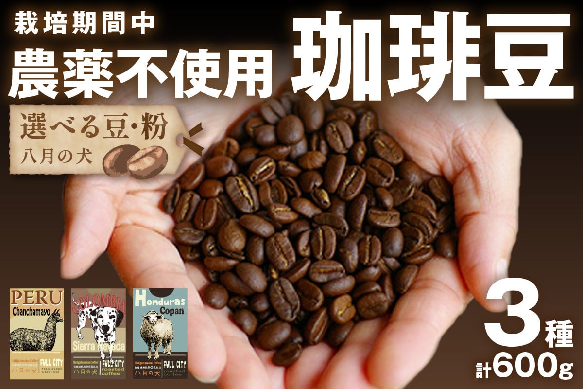 【栽培期間中農薬不使用】自家焙煎コーヒー豆　お試しセット（200gx3種）八月の犬　珈琲豆　ドリップ　飲み比べ　ブホペ　HA00007