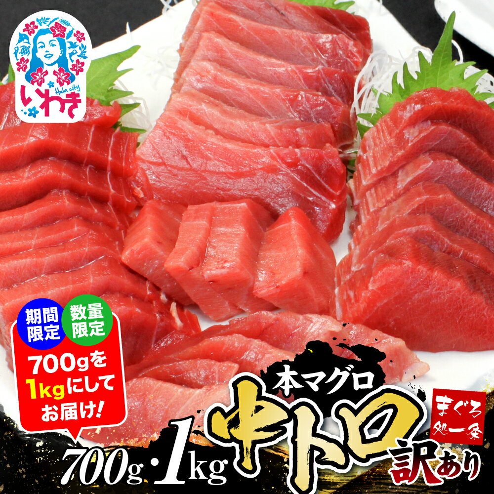 【ふるさと納税】訳あり 本マグロ 中トロ 700g 〜 1kg 数量限定 楽天限定 大容量 選べる 定期便 マグロ 中とろ 不揃い 刺身 海鮮丼 寿司 父の日 家庭用 自宅用 人気 冷凍 鮪 不定型 柵 本鮪 漬け丼 海鮮 魚 鮮魚 食品 まぐろ 魚介類 ネギトロ ふるさと納税魚介 まぐろ処一条