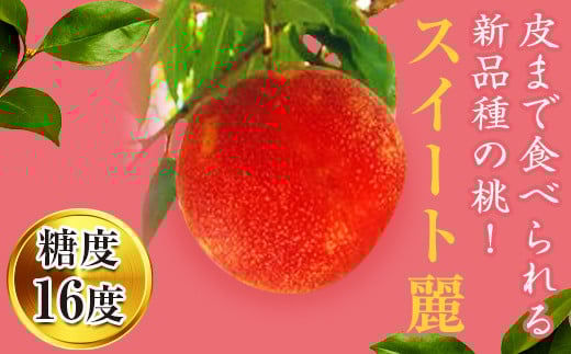 
            皮まで食べられる新品種 福島県産 スイート麗 1.5kg 2025年8月下旬～2025年9月上旬発送 2025年出荷分 先行予約 予約 伊達の桃 桃 もも モモ 果物 くだもの フルーツ 国産 食品 F20C-149
          