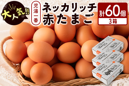 ネッカリッチ赤たまご 児湯一番 60個（20個×3箱）